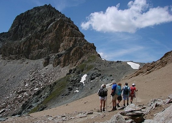 Immagine non trovata