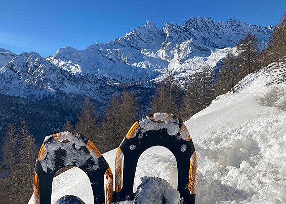 Immagine non trovata