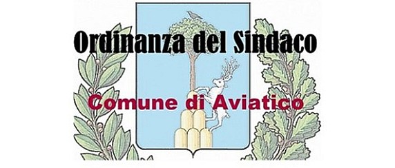 Ordinanza n. 25 del 29 Dicembre 2025