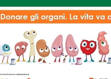 Immagine principale