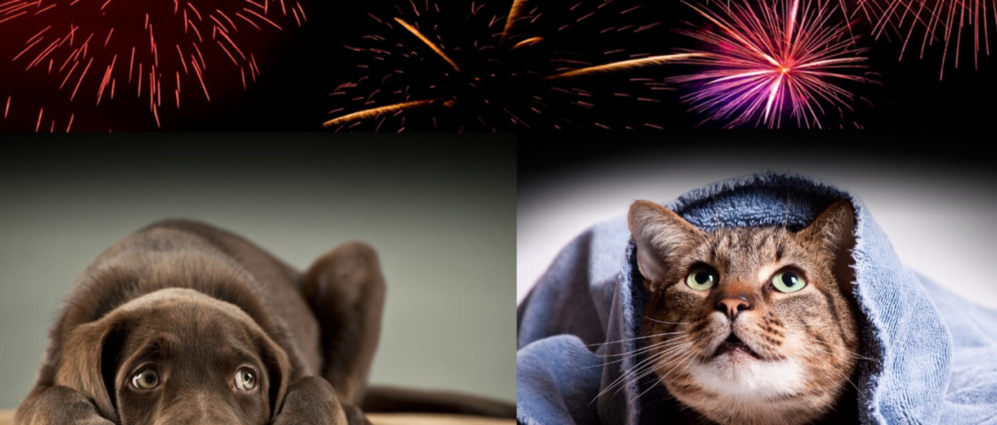 Capodanno 2026 con giudizio