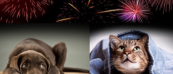 Capodanno 2026 con giudizio