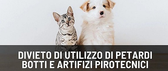 Immagine non trovata