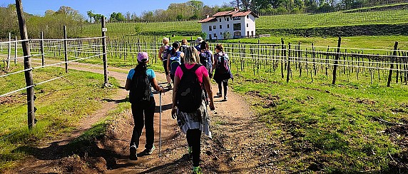 Il Cammino delle Colline Novaresi