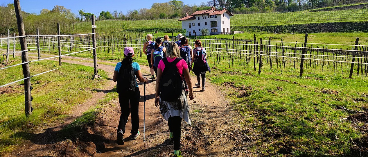 Il Cammino delle Colline Novaresi