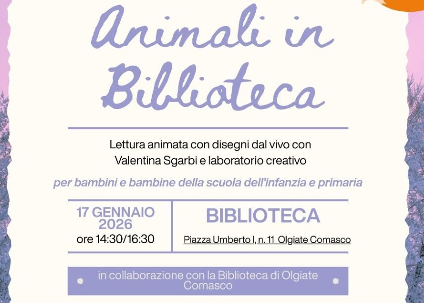 Immagine non trovata