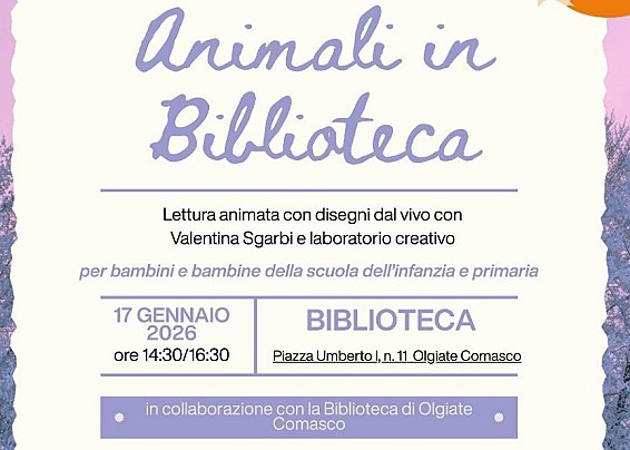 Immagine non trovata