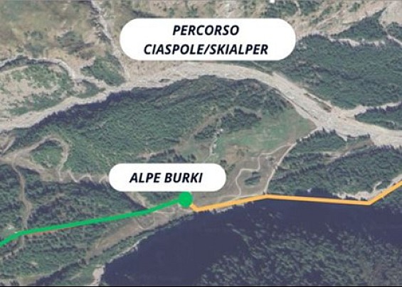 Immagine non trovata