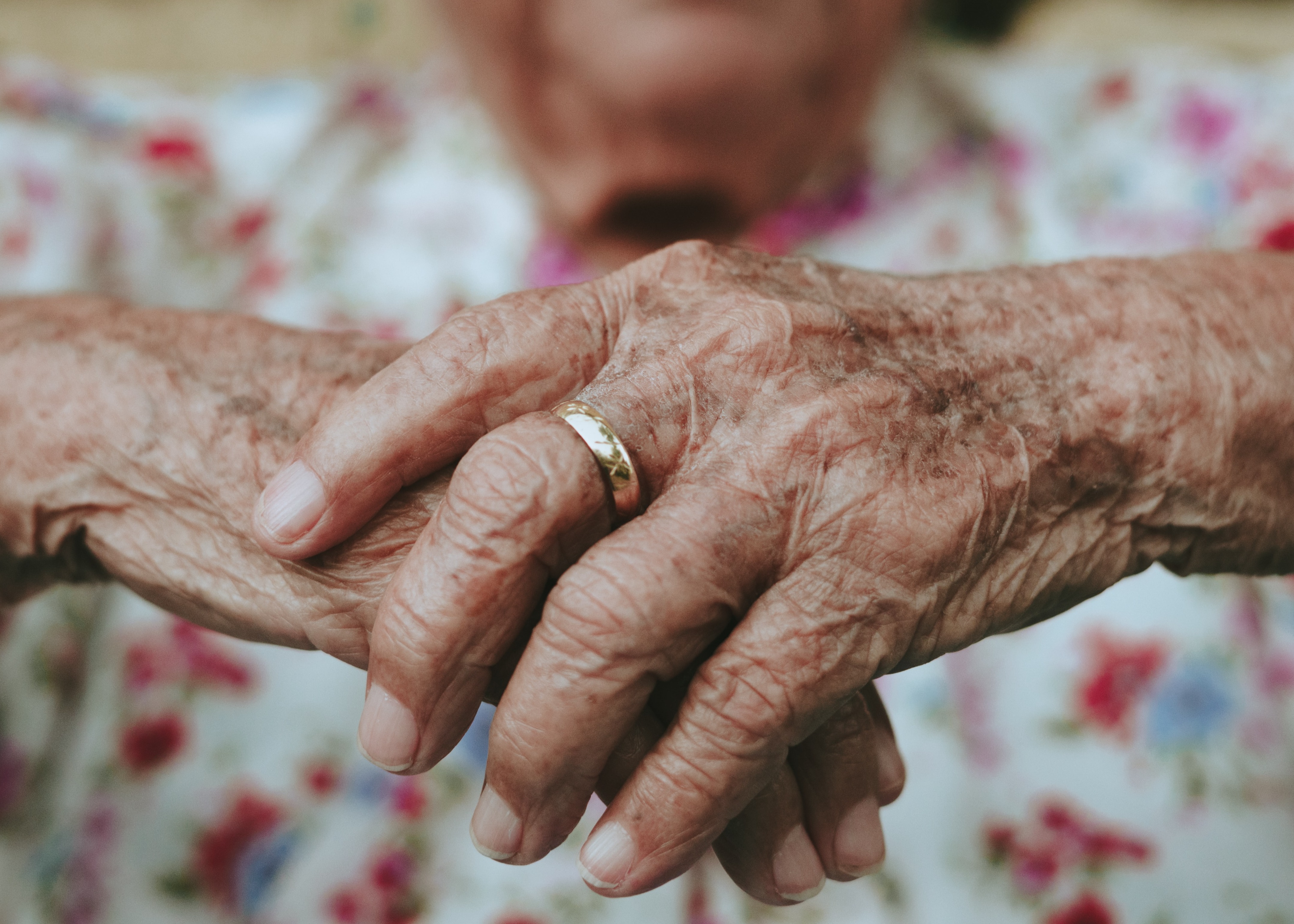 L. 162/98 annualità 2026