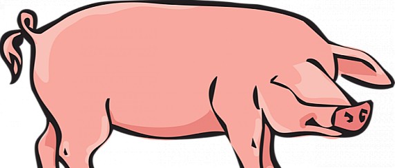 Macellazione Domiciliare Suini ad Uso Familiare.