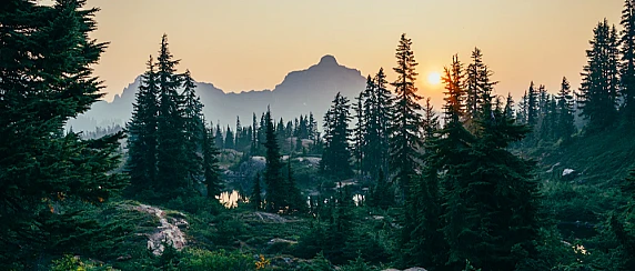 Scopri il Comprensorio del Voltigno