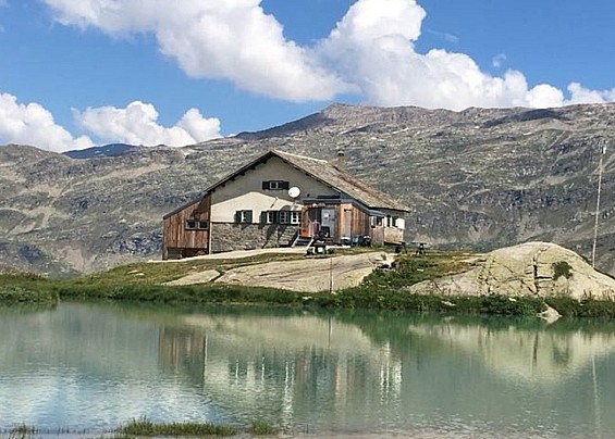 Immagine non trovata