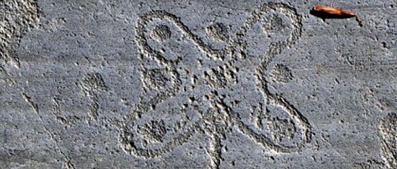 Premio Rosa Camuna 2026