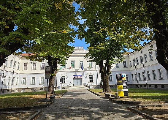 Immagine non trovata