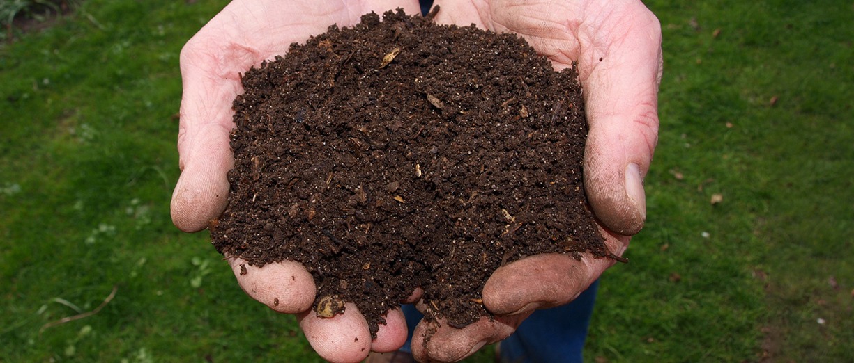 CORSO SUL COMPOSTAGGIO DOMESTICO