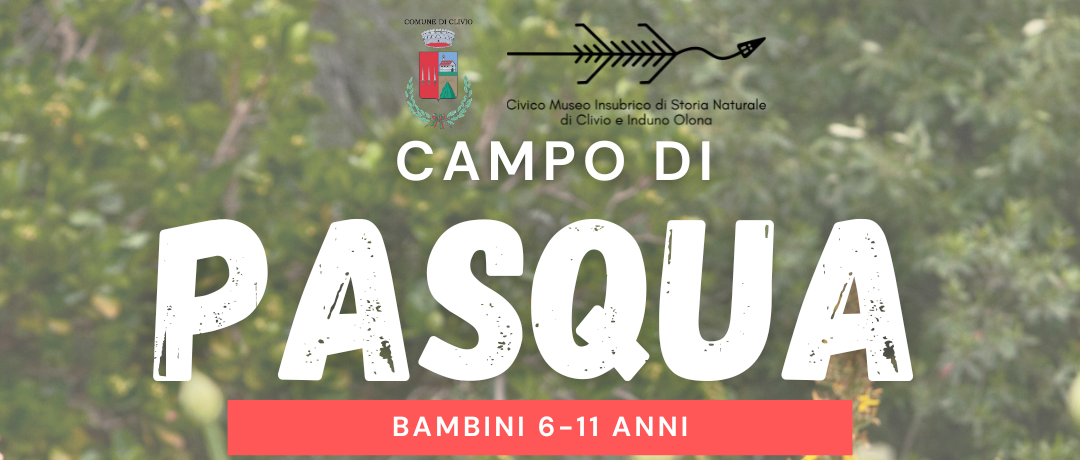 Campo di Pasqua 2026 🌿🐣 Natura, scienza e divertimento al Museo di Clivio