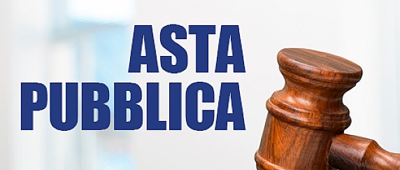 Avviso pubblico di asta per l'assegnazione di legna da ardere