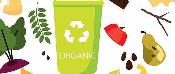 FORNITURA SACCHETTI PER LA RACCOLTA DEI RIFIUTI ORGANICI