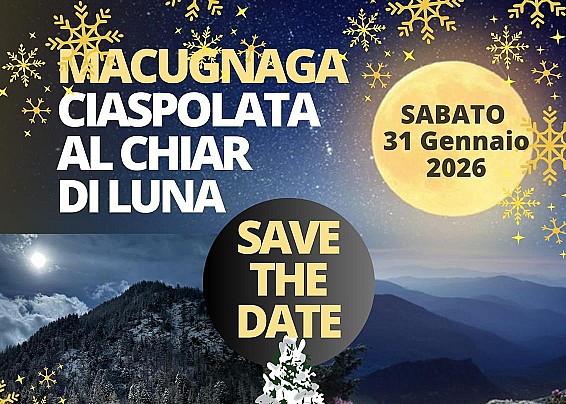 Immagine non trovata