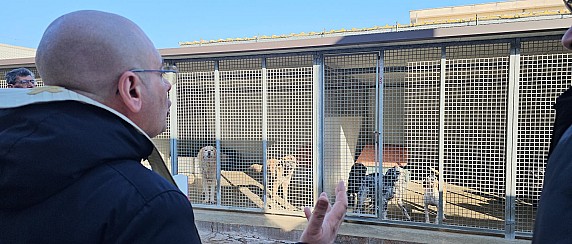 Sant’Antonio Abate, la benedizione dei cani e dei gatti del canile comunale di Terracina