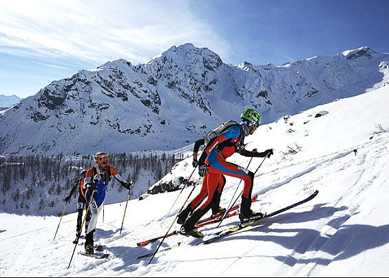 Immagine non trovata