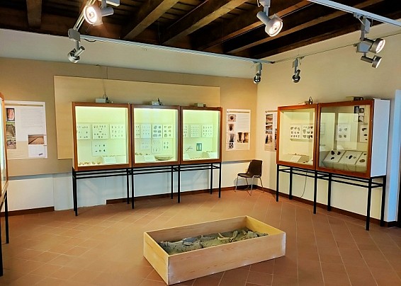 Immagine non trovata