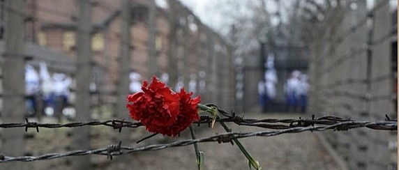 Giornata della Memoria 2026, la Città di San Salvo si ferma per commemorare le vittime della Shoah e delle persecuzioni