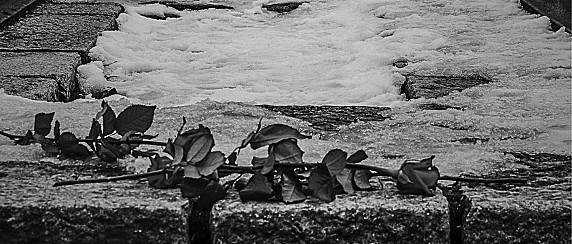 Giornata della memoria