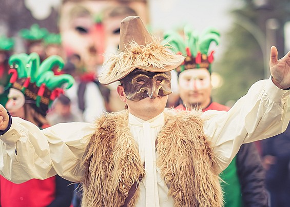 Immagine non trovata