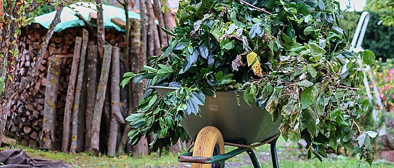 Servizio ritiro a domicilio delle frazioni vegetali anno 2026