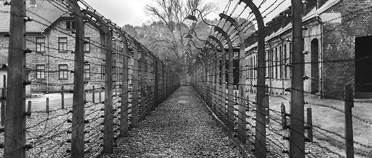 27 Gennaio 2026 – Giorno della Memoria: 81° Anniversario della Liberazione del Campo di sterminio Auschwitz Birkenau