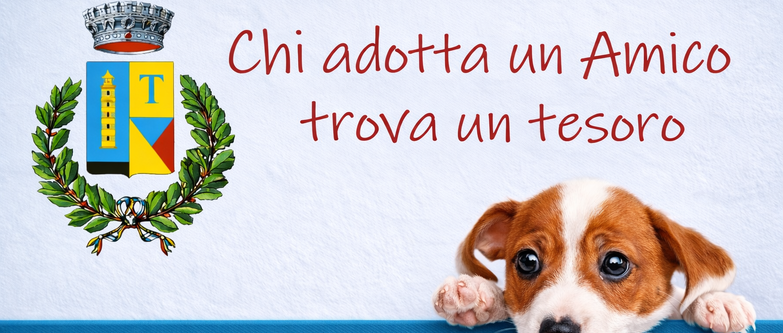 Chi adotta un amico trova un tesoro