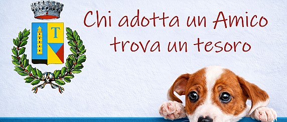 Chi adotta un amico trova un tesoro