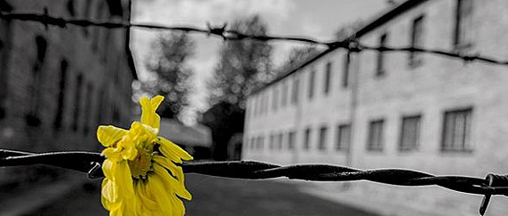 27 gennaio - Giorno della memoria