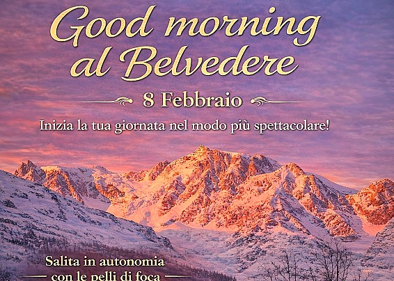 Immagine non trovata