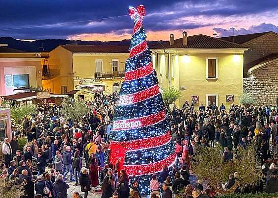 Immagine non trovata