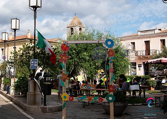 Immagine non trovata