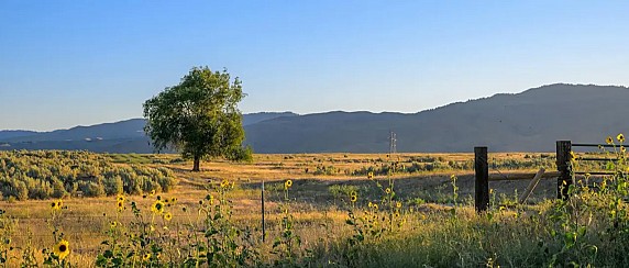 Comunità Montana - “Voucher per l’innovazione dell’artigianato” e “Viabilità rurale. Investimenti in infrastrutture per l’agricoltura e per lo sviluppo socio-economico delle aree rurali”