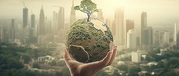 Bando contributi economici per le aziende agricole 2026