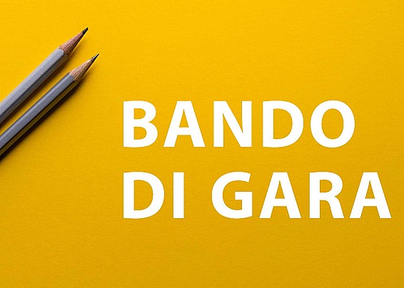 Procedura aperta per l’affidamento del servizio di somministrazione di lavoro a tempo determinato per 36 mesi. Scadenza presentazione offerte: 05/03/2026 ore 12:00