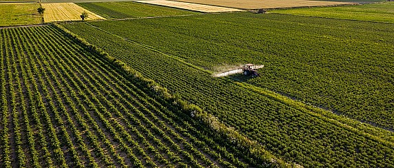 CONCESSIONE DI TERRE PUBBLICHE VINCOLATE AD USO CIVICO. ANNATA AGRARIA 2025-2026.