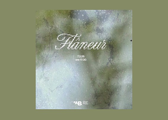 Immagine non trovata