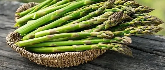 SAGRA DEGLI ASPARAGI 2026