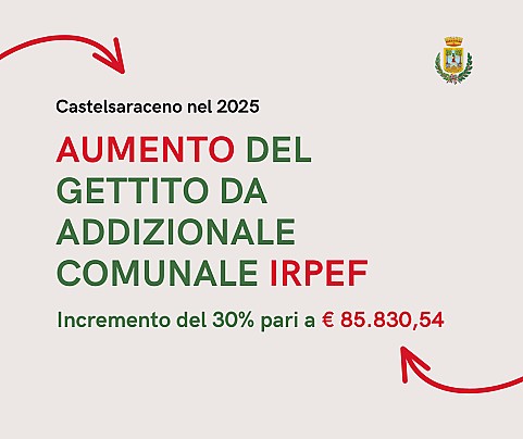 Castelsaraceno nel 2025. LA FORZA DELLA VISIONE, IL VALORE DELLE DECISIONI.
