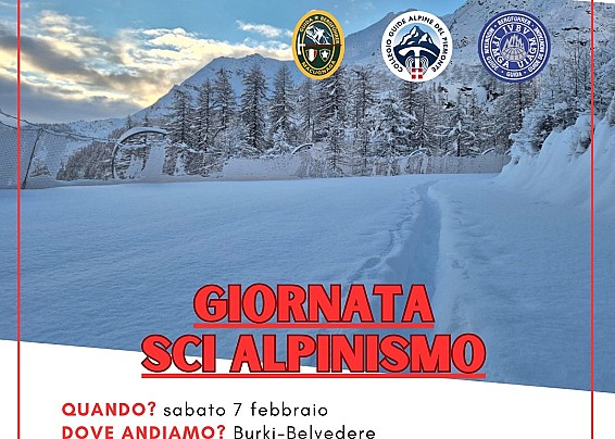 Immagine non trovata