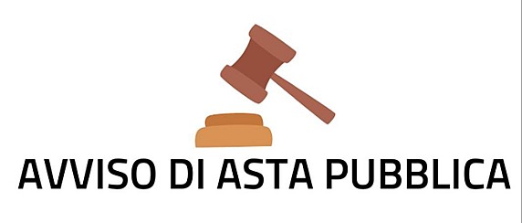 Bando di alienazione di beni mobili comunali a mezzo di asta pubblica