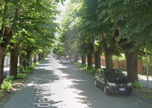 ATTENZIONE AI LAVORI DI POTATURA IN VIALE DEI MILLE