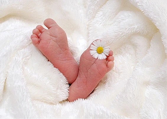 ASSEGNO DI NATALITA' 2026. APERTURA TERMINI PER LA PRESENTAZIONE DELLE DOMANDE.