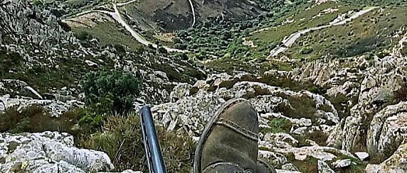 Avviso a tutti i cacciatori residenti a Esterzili- il Foglio Venatorio