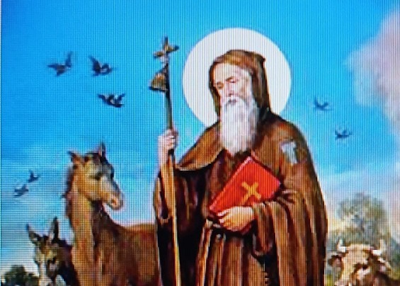 FESTA DI SANT'ANTONIO ABATE